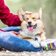 Landlord Threatens Eviction Over Non-Existent Dog in Bizarre Rental Dispute