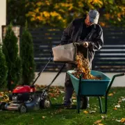 Lawn Expert Warns Against Early Mowing, Recommends March Start Date