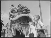 Lunar New Year 2026 in Australia: Lion Dancers and Parades