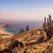 Major 6.2 Magnitude Earthquake Strikes Ovalle in Central Chile