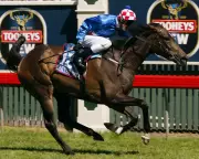 Makybe Diva, Triple Melbourne Cup Winner, Dies at Age 26