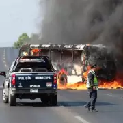 Mexican Cartels May Stand Down During World Cup Despite Violence, Experts Suggest
