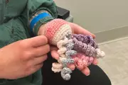 Michigan Mom Crochets Yarn Octopi for Preemies in Detroit Hospital NICU