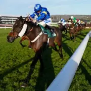 Mirror's Complete Cheltenham Festival 2026 Guide: Free Tips and Pullouts