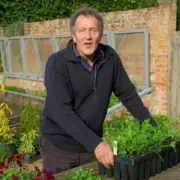 Monty Don's 2026 Lawn Care Warning: The Exact First Cut Time Revealed
