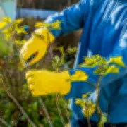 Monty Don's February Pruning Guide: Three Plants to Trim Now for Summer Blooms