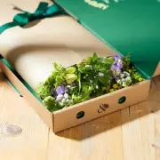 Mother's Day 2026 Letterbox Gifts: Blooms, Books & Pampering Under £50