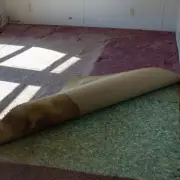 Mum's Carpet Horror: Decade-Old Bedroom Flooring Reveals Shocking Secret