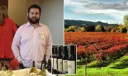 Napa Valley Wine Mogul Admits to Multi-Million Dollar Grape Fraud Scheme
