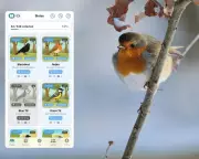 New Birdex App Gamifies Birdwatching with Pokémon-Style Rewards System