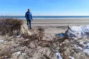 New Jersey's $54 Million Beach Protection Plan Collapses Amid Local Disputes