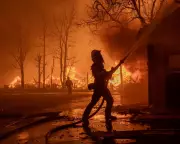 New Study Warns of Escalating Global Wildfire Danger and Risks