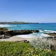 Newquay Crowned UK's Top Dog-Friendly Seaside Destination for Off-Peak Travel