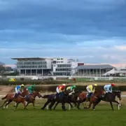 Newsboy's Thursday Racing Tips: Blue Carpet and Magical Maggie Lead Selections