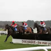 Newsboy's Tuesday Racing Tips: Snowrocco Tipped for Market Rasen Hat-Trick