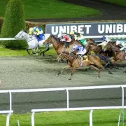 Newsboy's Wednesday Racing Tips: Ablon and Mammies Boy Lead Selections