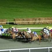 Newsboy's Wednesday Racing Tips: Atmosphere and Silver State Lead Kempton Card