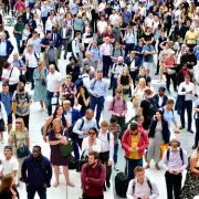 NHS Issues Black Liquorice Alert for 16 Million Brits with High Blood Pressure