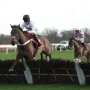 Nicky Henderson's Public Predicament Over Constitution Hill's Champion Hurdle Decision