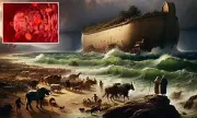 Noah's Ark Survivors Linked to Eight Blood Types in Viral Theory