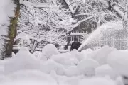 Northeast Blizzard Hits 'Goldilocks' Sweet Spot for Record Snow Totals