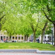 Oslo Crowned World's Greenest City with Bee Highways and Urban Parks