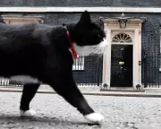 Palmerston, the Foreign Office's Famed 'Diplocat', Dies Peacefully in Bermuda