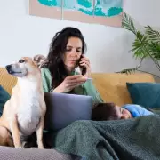 Pet Insurance Warning: A Third of UK Owners Risk Financial Ruin Over Vet Bills