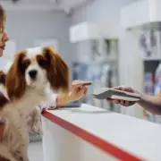 Pet Owners Warned: Paracetamol Poses Severe Risk to Dogs