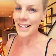 Pink Denies Marriage Split Rumours, Deflects to Epstein Files