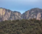 Police Launch Major New Search for Fugitive in Mount Buffalo National Park