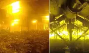 Police Uncover £761k 'Maze-Like' Cannabis Factory in Rotherham Warehouse Raid