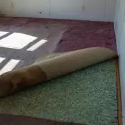 Pregnant Woman Discovers Perfect Hardwood Under Old Carpet in Viral Renovation