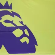 Premier League Executive Avoids Action as Civil Abuse Case Dropped
