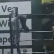 Rats Filmed Swinging from Morrisons Trolley in Glasgow Spark Hygiene Investigation