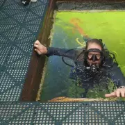 Retired Naval Officer Reverses Ageing After 93 Days in Atlantic Pod