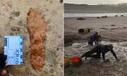 Roman Era Footprints Uncovered on Scottish Beach Before Being Destroyed by Sea