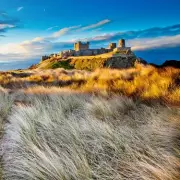 Ross Back Sands: Northumberland's Hidden Beach Gem Between Two Castles