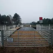 Runner Killed by Train as Phone Warning Displayed Loud Music Alert