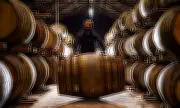 Scottish Whisky Boom Revives Sherry Industry Through Cask Seasoning Demand