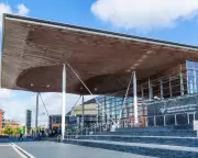 Senedd Backs Westminster Assisted Dying Bill in Landmark Vote