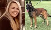 Senior Detective Sues Police Chief Over Trainee Dog Attack at Home