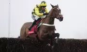 Sir Gino's Health Crisis: Champion Hurdle Favourite Battles Virus After Pelvis Fracture