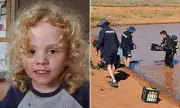 South Australia Police to Announce Major Update in Search for Missing Toddler Gus Lamont