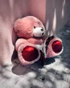 Spanish Designer's iPhone Photo of Abandoned Bear Captures Bittersweet Recovery