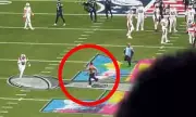 Streaker Disrupts Super Bowl LX, Security Guard Injured in Chase