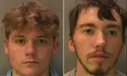 Students Jailed for Sadistic Sheep Fireworks Attack in South Downs