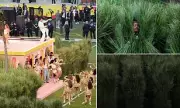 Super Bowl Grass Bunnies Reveal Hidden Meaning Behind Viral Halftime Costumes
