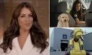 Super Bowl's Most Controversial Ads: From Racism to Suicide Imagery