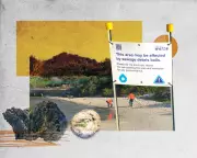 Sydney Water Ordered to Remove Fatberg After Beach Closures